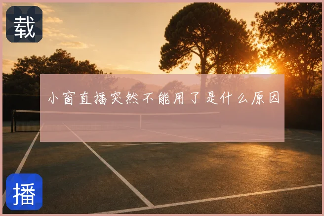 小窗直播突然不能用了是什么原因